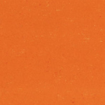 0170 Kumquat Orange