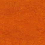 0117 Mandarin Orange