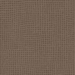 0049 Carbonev