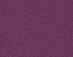 6478 Purple