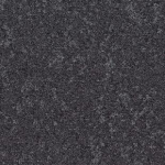 TH_Retrace_9503_1