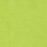 0515 Kiwi